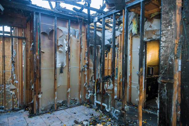 Professional Fire Damage Removal technician working in Glenside, PA